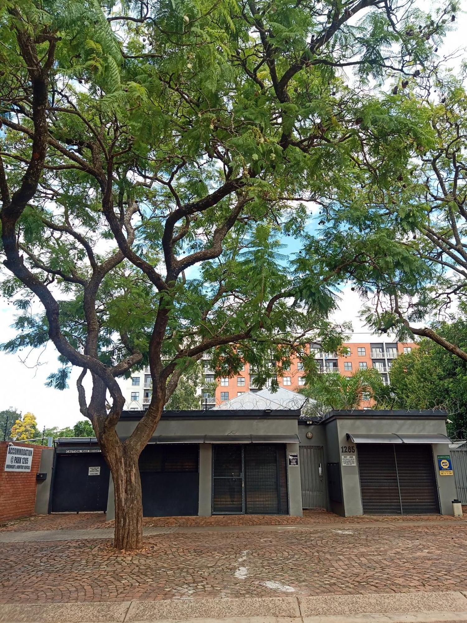 Accommodation@Park1285 Pretoria-Noord Exteriér fotografie